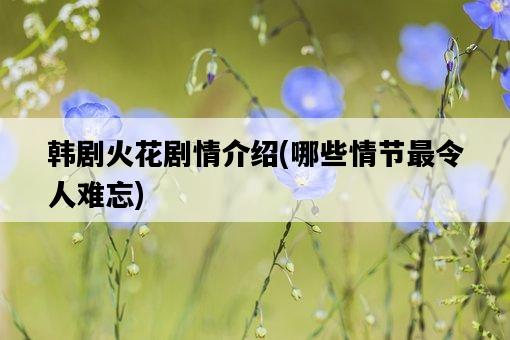 韓劇火花劇情介紹，哪些情節最令人難忘-圖1