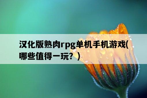 漢化版熟肉rpg單機手機游戲，哪些值得一玩？-圖1