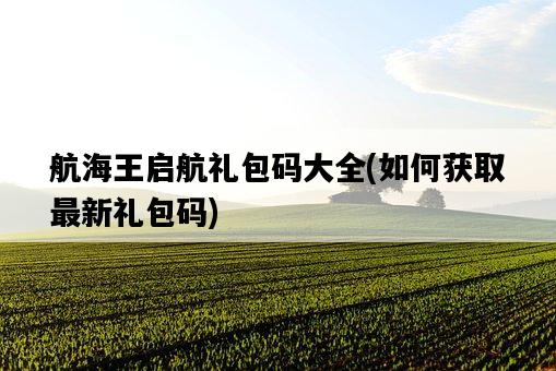 航海王啟航禮包碼大全，如何獲取最新禮包碼-圖1