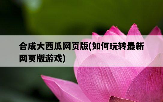 合成大西瓜網頁版，如何玩轉最新網頁版游戲-圖1