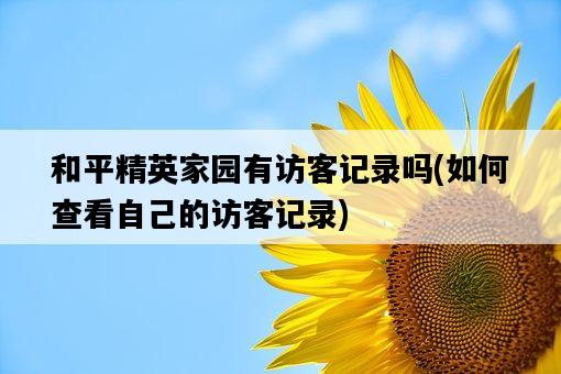 和平精英家園有訪客記錄嗎，如何查看自己的訪客記錄-圖1