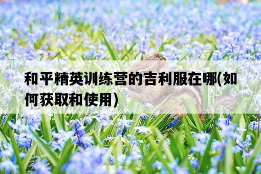 和平精英訓練營的吉利服在哪，如何獲取和使用-圖1