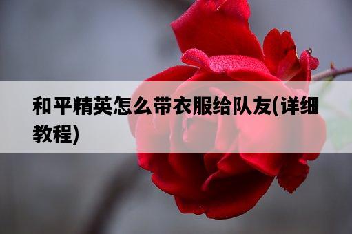 和平精英怎么帶衣服給隊友，詳細教程-圖1