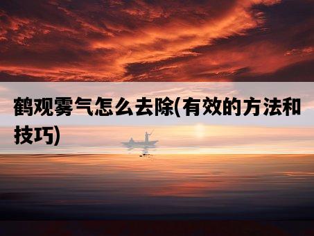 鶴觀霧氣怎么去除，有效的方法和技巧-圖1