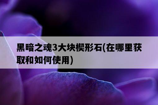 黑暗之魂3大塊楔形石，在哪里獲取和如何使用-圖1