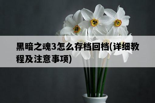黑暗之魂3怎么存檔回檔，詳細教程及注意事項-圖1