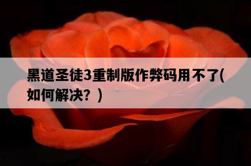 黑道圣徒3重制版作弊碼用不了，如何解決？-圖1