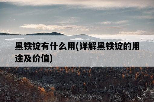 黑鐵錠有什么用，詳解黑鐵錠的用途及價值-圖1