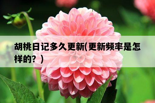 胡桃日記多久更新，更新頻率是怎樣的？-圖1