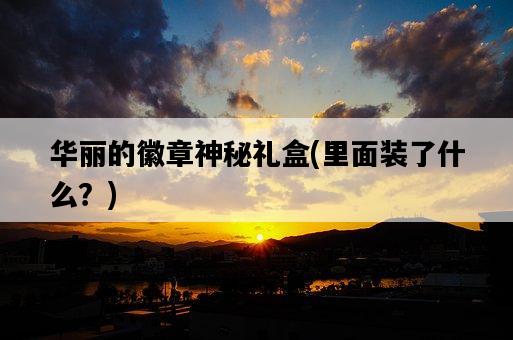 華麗的徽章神秘禮盒，里面裝了什么？-圖1