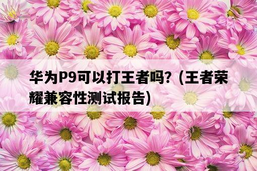 華為P9可以打王者嗎？，王者榮耀兼容性測試報告-圖1
