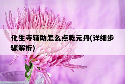 化生寺輔助怎么點乾元丹，詳細步驟解析-圖1