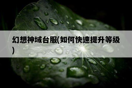 幻想神域臺服，如何快速提升等級-圖1