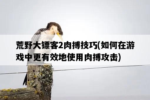 荒野大鏢客2肉搏技巧，如何在游戲中更有效地使用肉搏攻擊-圖1
