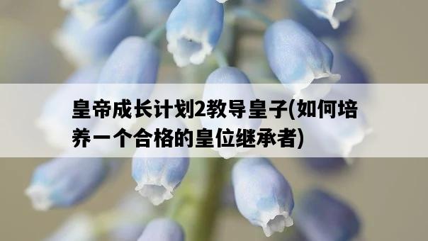 皇帝成長計劃2教導皇子，如何培養一個合格的皇位繼承者-圖1