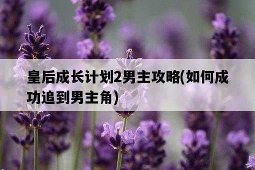 皇后成長計劃2男主攻略，如何成功追到男主角-圖1