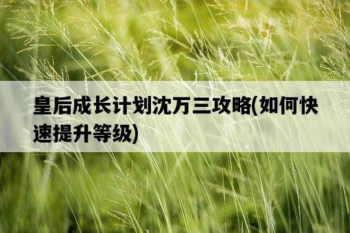 皇后成長計劃沈萬三攻略，如何快速提升等級-圖1