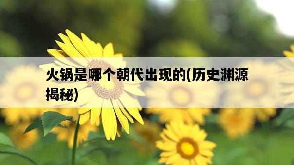 火鍋是哪個朝代出現的，歷史淵源揭秘-圖1