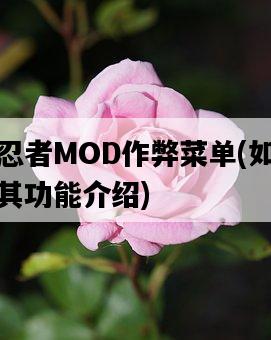 火影忍者MOD作弊菜單，如何使用及其功能介紹-圖1