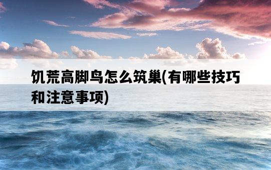 饑荒高腳鳥怎么筑巢，有哪些技巧和注意事項-圖1