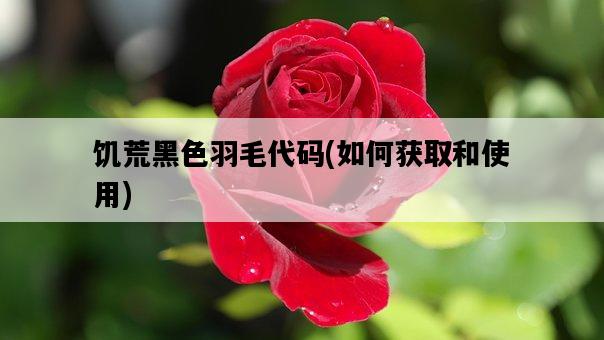 饑荒黑色羽毛代碼，如何獲取和使用-圖1