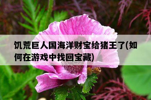 饑荒巨人國海洋財寶給豬王了，如何在游戲中找回寶藏-圖1