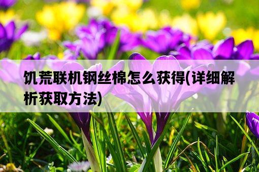 饑荒聯機鋼絲棉怎么獲得，詳細解析獲取方法-圖1