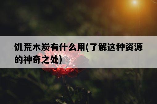 饑荒木炭有什么用，了解這種資源的神奇之處-圖1