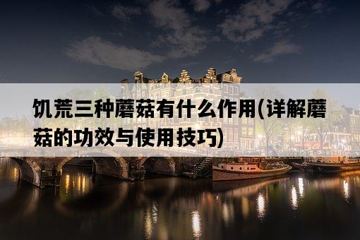 饑荒三種蘑菇有什么作用，詳解蘑菇的功效與使用技巧-圖1