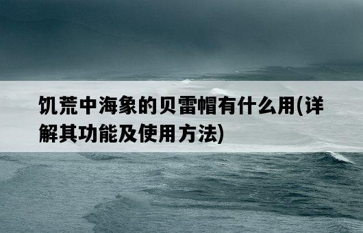 饑荒中海象的貝雷帽有什么用，詳解其功能及使用方法-圖1