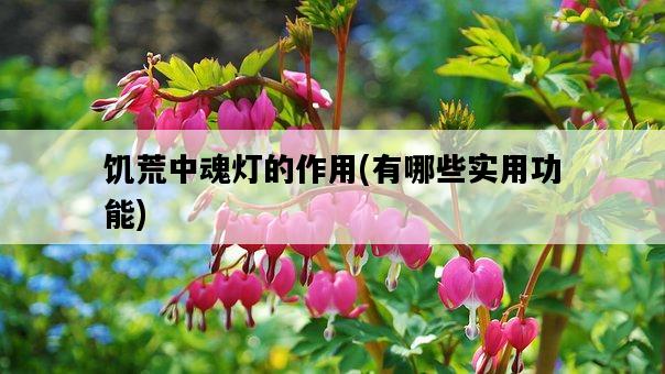 饑荒中魂燈的作用，有哪些實用功能-圖1