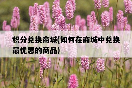 積分兌換商城，如何在商城中兌換最優惠的商品-圖1