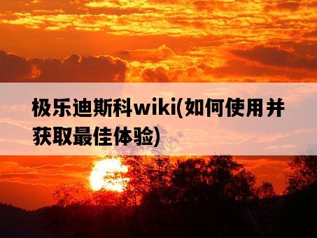 極樂迪斯科wiki，如何使用并獲取最佳體驗-圖1