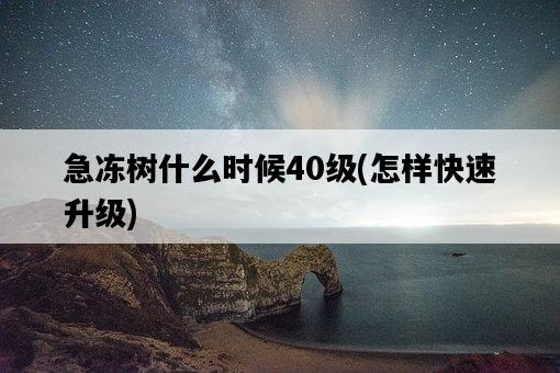 急凍樹什么時候40級，怎樣快速升級-圖1