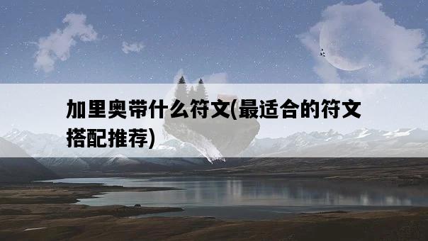 加里奧帶什么符文，最適合的符文搭配推薦-圖1