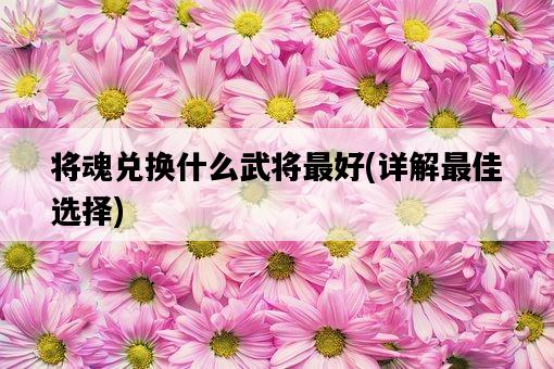將魂兌換什么武將最好，詳解最佳選擇-圖1