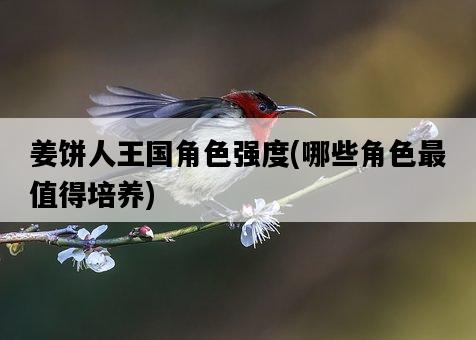 姜餅人王國角色強度，哪些角色最值得培養-圖1