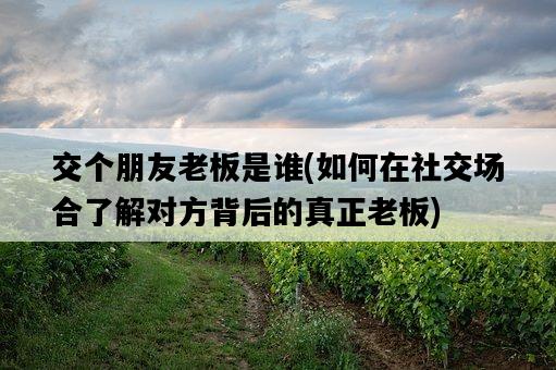 交個朋友老板是誰，如何在社交場合了解對方背后的真正老板-圖1