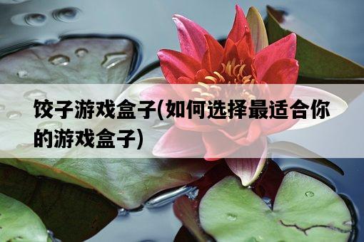 餃子游戲盒子，如何選擇最適合你的游戲盒子-圖1
