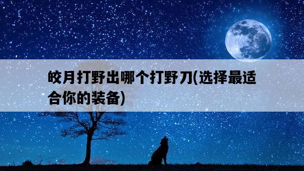 皎月打野出哪個打野刀，選擇最適合你的裝備-圖1