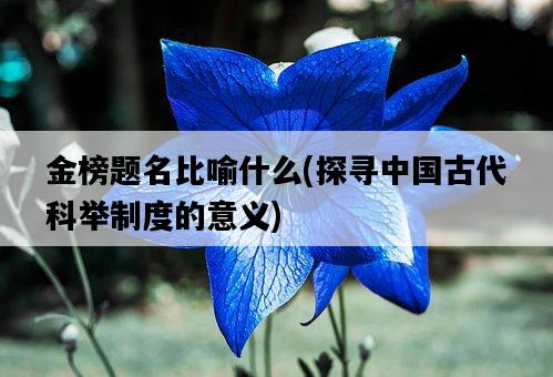 金榜題名比喻什么，探尋中國古代科舉制度的意義-圖1