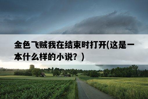 金色飛賊我在結束時打開，這是一本什么樣的小說？-圖1