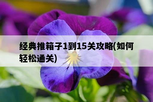 經典推箱子1到15關攻略，如何輕松通關-圖1