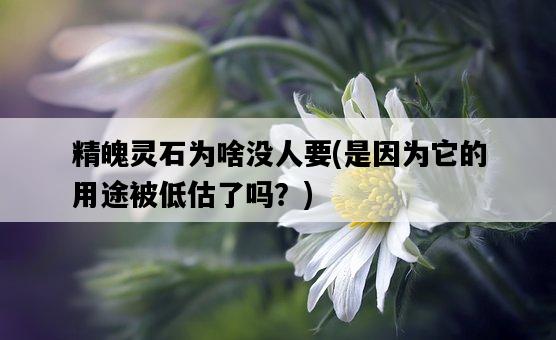 精魄靈石為啥沒人要，是因為它的用途被低估了嗎？-圖1