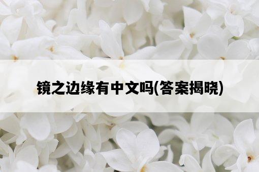 鏡之邊緣有中文嗎，答案揭曉-圖1