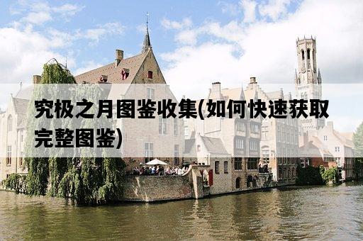 究極之月圖鑒收集，如何快速獲取完整圖鑒-圖1