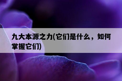 九大本源之力，它們是什么，如何掌握它們-圖1