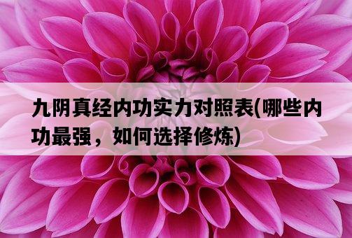 九陰真經內功實力對照表，哪些內功最強，如何選擇修煉-圖1
