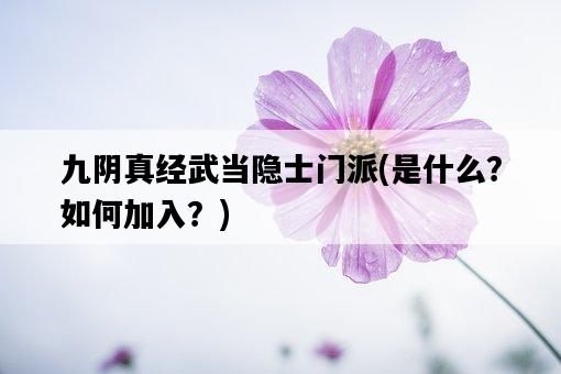 九陰真經武當隱士門派，是什么？如何加入？-圖1