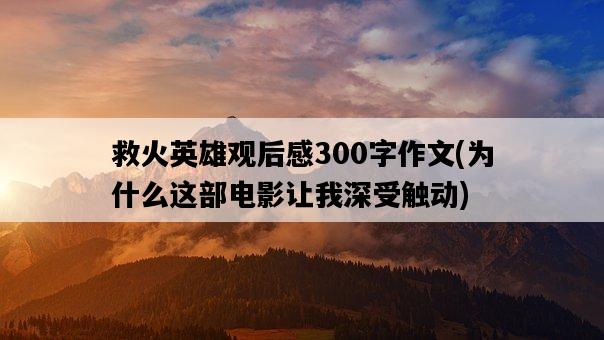 救火英雄觀后感300字作文，為什么這部電影讓我深受觸動-圖1